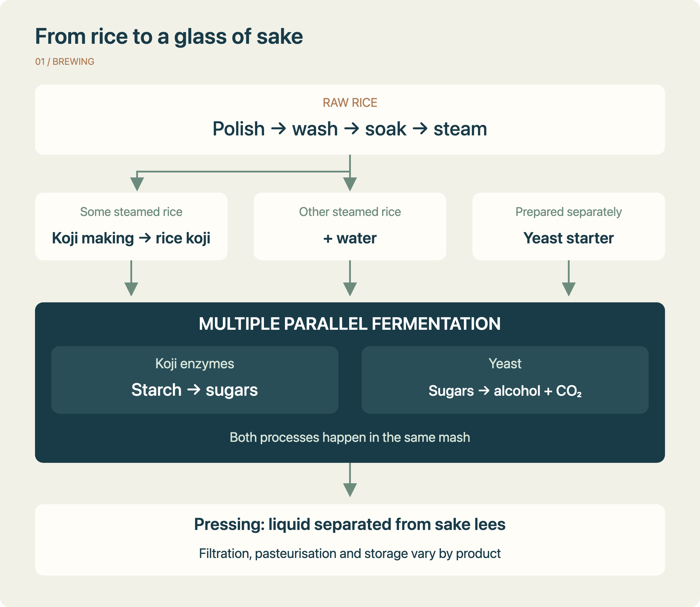 Sake process diagram: polished, washed, soaked and steamed rice branches into koji making; koji joins other steamed rice, water and yeast starter in the main mash, where saccharification and alcohol fermentation overlap, followed by pressing and finishing.