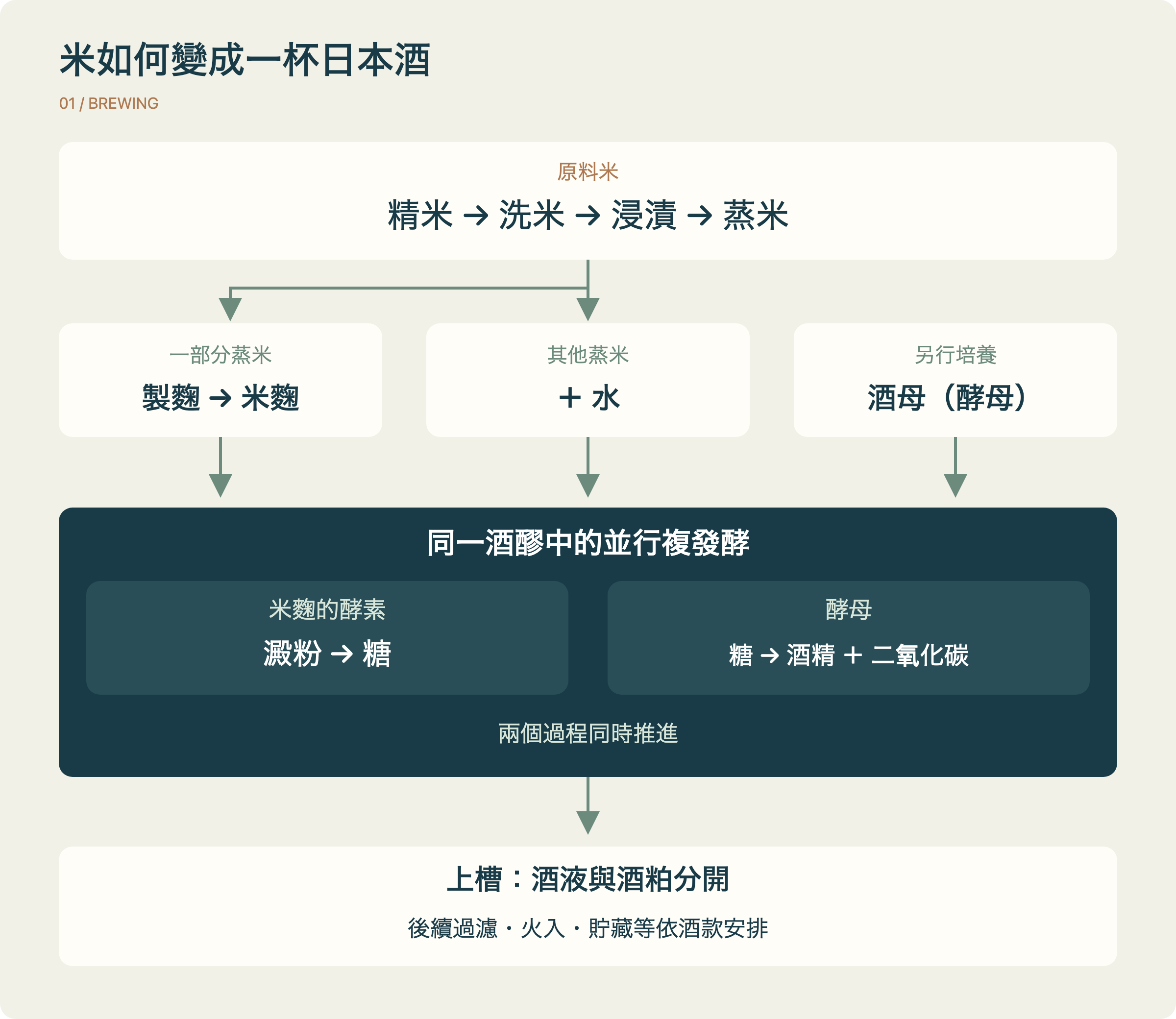 日本酒工藝分支圖：原料米經精米、洗米、浸漬及蒸米，部分蒸米製麴，與酒母、水及其他蒸米一起進入酒醪；麴酵素糖化與酵母酒精發酵同時進行，最後上槽及後處理。