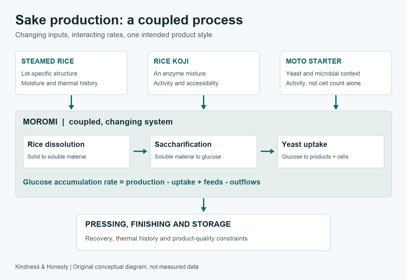 Three inputs—steamed rice, rice koji and a moto starter—enter moromi. Inside the mash, rice dissolution supplies soluble material, saccharification supplies glucose and yeast consumes it. Measured glucose reflects their net balance. Pressing and finishing must preserve the intended product quality.